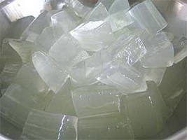 jelly-lidah-buaya